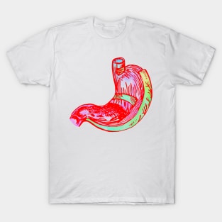 Stomach T-Shirt